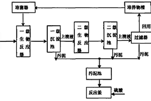 一种复合功能菌处理危险废物砷废液的方法