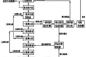 低沸点废盐的资源化处置工艺