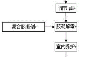 一种含砷废渣解毒用复合胶凝剂及其制备方法和应用