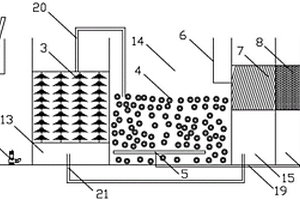 应用于养殖废水的生物流化床装置