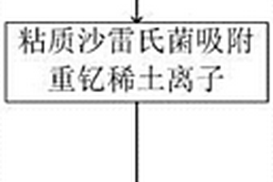 从低浓度重钇稀土废水中回收稀土的生物方法