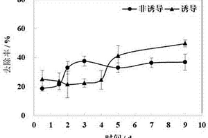 磺胺类抗生素降解菌及其应用