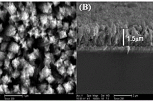 锐钛矿相二氧化钛纳米锥阵列COD传感器及制备方法