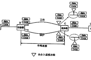 在多协议标签交换中实现子网连接保护的方法和系统