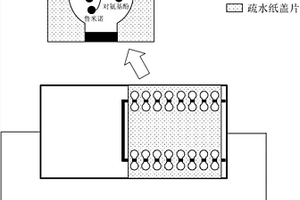 阵列式电化学发光传感器及采用电化学发光法测定青蒿素类化合物的方法