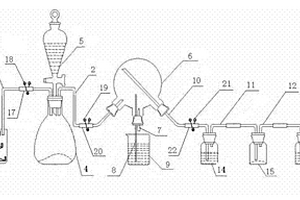 检验CO2性质的化学实验装置