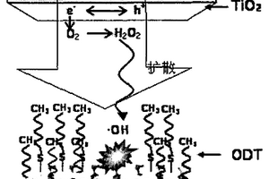 羟基自由基的电化学分析方法