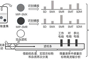 多组分磺胺类抗生素纸基微流控分析装置及分析方法