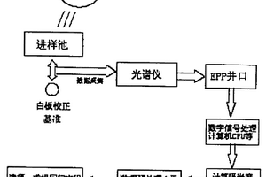 用光谱技术测定污水化学需氧量的方法和系统