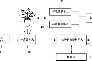 植物状态自动化分析装置以及利用其的植物分析方法