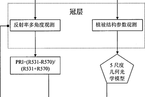 多角度观测植被冠层阴阳叶光化学反射指数的方法