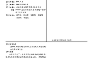 戊型肝炎病毒IGG抗体化学发光免疫测定试剂盒及其制备方法