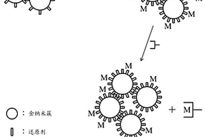 探针、探测金属离子的方法、与探测化学/生化分子的方法