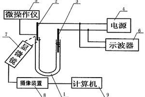 电化学腐蚀制作纳米探针的实时监测系统