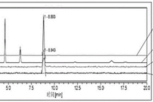 测量碘[131I]化钠溶液中碘化物和放射性化学纯度的方法