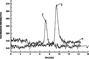离子色谱-在线光化学衍生-荧光分析药片中卡马西平的含量