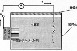 基于一维硅纳米结构阵列的可见光电化学探测器