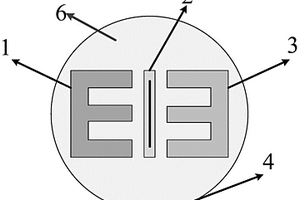 电化学测试电极及其制备方法