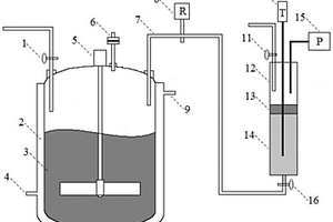 测试化学反应失控安全泄放物料流动状态的装置及其用途