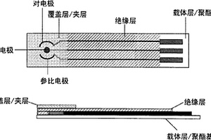 用于直接测定糖化血红蛋白百分比的电化学生物传感器