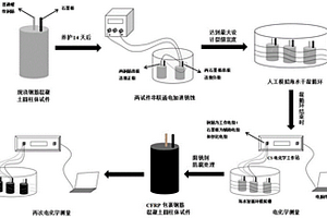 用于测试CFRP修复开裂砼内钢筋电化学性能的试件制备方法