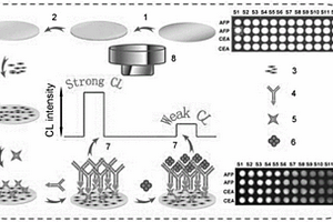 多肿瘤标志物无标记化学发光成像免疫传感器的制备及分析方法