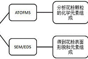 花粉颗粒表面形貌和化学元素组成的分析方法和装置