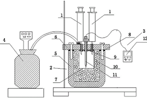 测量高温高压环境下溶液化学反应即时温度的实验装置