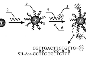 纳米粒子强化的荧光偏振分析方法