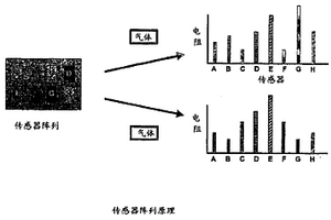 分析气体混合物的设备