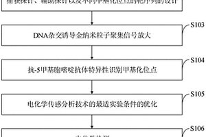 DNA甲基化位点分析方法、DNA生物传感器