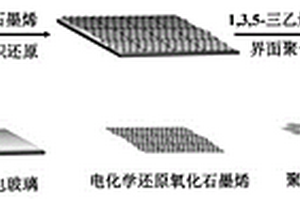 石墨烯/PETB光电极的制备方法及其在含巯基小分子化合物光电分析中的应用