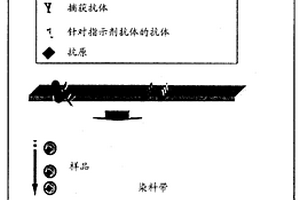 层析分析系统