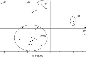 鉴别洋槐蜜与糖浆掺假洋槐蜜的分析方法