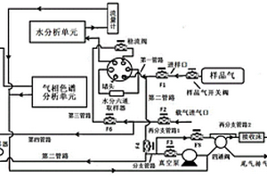 气体中微量永久性杂质气体和水的一体化分析系统及其使用方法