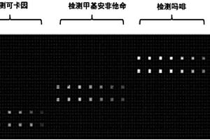 基于磁颗粒纳米酶的微流控免疫芯片分析方法及应用