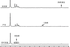 湖泊水生植物中有机磷提取及组成分析方法