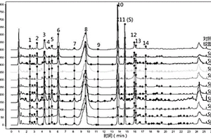 生姜姜半夏渗漉液中成分的定量指纹图谱分析方法