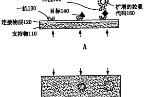 使用拉曼活性探针构建物来分析生物学样品的方法和装置