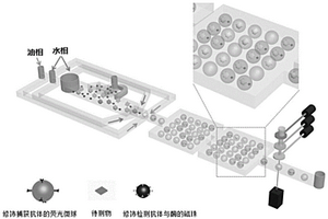 单分子多组分数字免疫分析方法