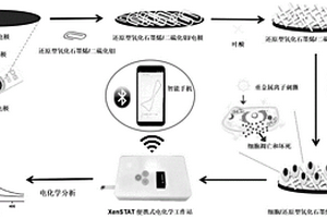 智能手机分析重金属离子毒性的电化学细胞传感器