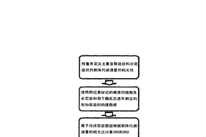 使用会聚比决定簇和分流比决定簇来分析新陈代谢通量的方法