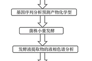 基因分析介导的芳香环聚酮化合物的寻找和鉴定方法