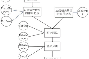 分析四妙丸治疗痛风性关节炎作用机制的方法