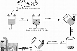 大豆及其制品中异黄酮的分析方法