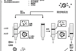 利用尺寸排阻色谱法的细胞外囊泡的分析方法及其用途