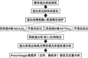 不同生理或病理条件下整体蛋白质的定量分析方法