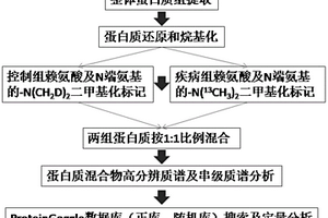 整体蛋白质定量分析方法