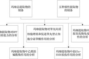 玛咖活性成分的提取分析及应用方法