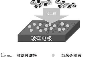 酶电极、电化学生物传感器、水中苯酚浓度的分析方法